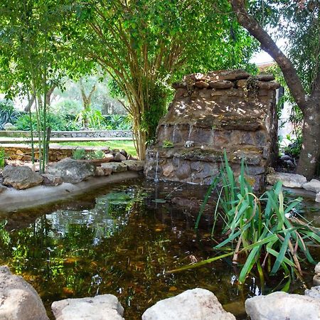Casa Caramelo Villa Medina-Sidonia Eksteriør bilde