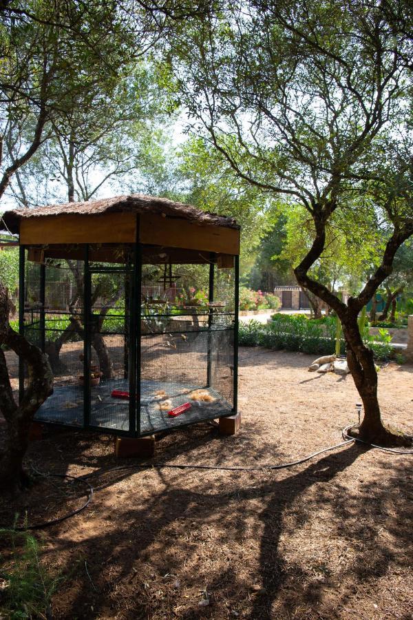 Casa Caramelo Villa Medina-Sidonia Eksteriør bilde